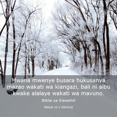 Picture 03 - Mithali 10:5 SWHULB - Mwana mwenye busara hukusanya mazao wakati wa - Bible Verse Picture