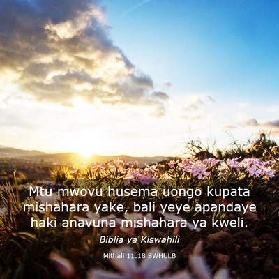 Picture 03 - Mithali 11:18 SWHULB - Mtu mwovu husema uongo kupata mishahara yake, - Bible Verse Picture