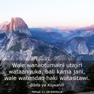 Picture 03 - Mithali 11:28 SWHULB - Wale wanaotumaini utajiri wataanguka, bali kama - Bible Verse Picture