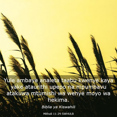 Picture 03 - Mithali 11:29 SWHULB - Yule ambaye analeta taabu kwenye kaya yake - Bible Verse Picture