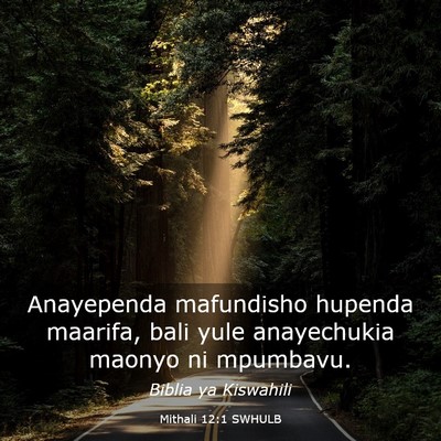Picture 03 - Mithali 12:1 SWHULB - Anayependa mafundisho hupenda maarifa, bali yule - Bible Verse Picture