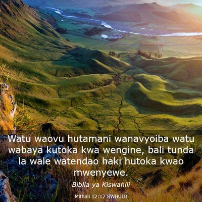Picture 03 - Mithali 12:12 SWHULB - Watu waovu hutamani wanavyoiba watu wabaya kutoka - Bible Verse Picture