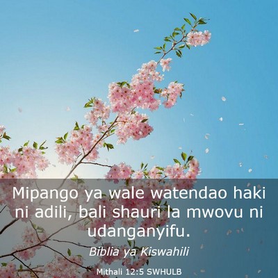 Picture 03 - Mithali 12:5 SWHULB - Mipango ya wale watendao haki ni adili, bali - Bible Verse Picture