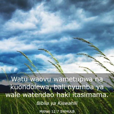 Picture 03 - Mithali 12:7 SWHULB - Watu waovu wametupwa na kuondolewa, bali nyumba - Bible Verse Picture