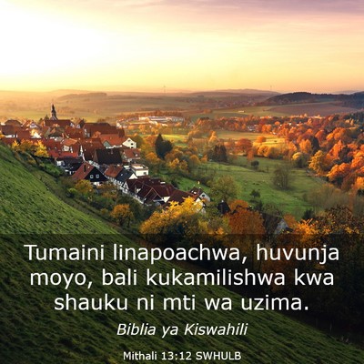 Picture 03 - Mithali 13:12 SWHULB - Tumaini linapoachwa, huvunja moyo, bali - Bible Verse Picture