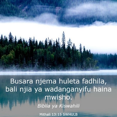Picture 03 - Mithali 13:15 SWHULB - Busara njema huleta fadhila, bali njia ya - Bible Verse Picture