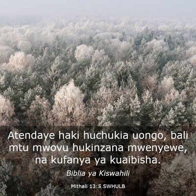 Picture 03 - Mithali 13:5 SWHULB - Atendaye haki huchukia uongo, bali mtu mwovu - Bible Verse Picture