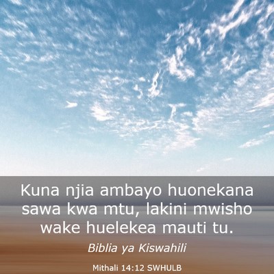 Picture 03 - Mithali 14:12 SWHULB - Kuna njia ambayo huonekana sawa kwa mtu, lakini - Bible Verse Picture