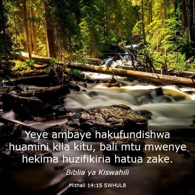 Picture 03 - Mithali 14:15 SWHULB - Yeye ambaye hakufundishwa huamini kila kitu, bali - Bible Verse Picture