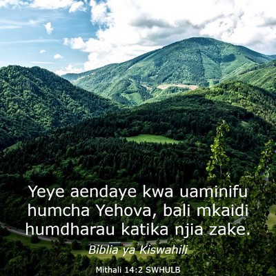 Picture 03 - Mithali 14:2 SWHULB - Yeye aendaye kwa uaminifu humcha Yehova, bali - Bible Verse Picture