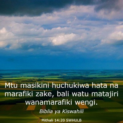 Picture 03 - Mithali 14:20 SWHULB - Mtu masikini huchukiwa hata na marafiki zake, - Bible Verse Picture