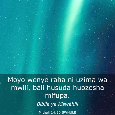 Picture 03 - Mithali 14:30 SWHULB - Moyo wenye raha ni uzima wa mwili, bali husuda - Bible Verse Picture