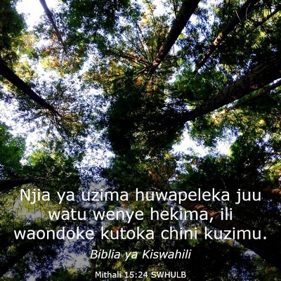Picture 03 - Mithali 15:24 SWHULB - Njia ya uzima huwapeleka juu watu wenye hekima, - Bible Verse Picture