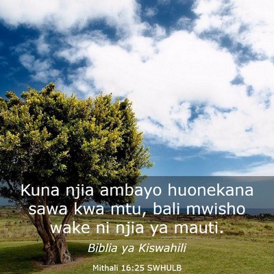 Picture 03 - Mithali 16:25 SWHULB - Kuna njia ambayo huonekana sawa kwa mtu, bali - Bible Verse Picture
