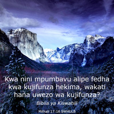 Picture 03 - Mithali 17:16 SWHULB - Kwa nini mpumbavu alipe fedha kwa kujifunza - Bible Verse Picture