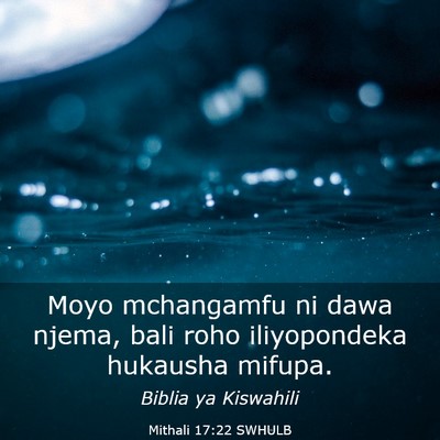 Picture 03 - Mithali 17:22 SWHULB - Moyo mchangamfu ni dawa njema, bali roho - Bible Verse Picture