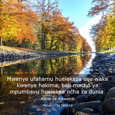Picture 03 - Mithali 17:24 SWHULB - Mwenye ufahamu huelekeza uso wake kwenye hekima, - Bible Verse Picture
