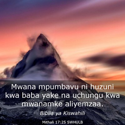 Picture 03 - Mithali 17:25 SWHULB - Mwana mpumbavu ni huzuni kwa baba yake na uchungu - Bible Verse Picture