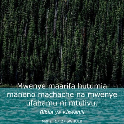 Picture 03 - Mithali 17:27 SWHULB - Mwenye maarifa hutumia maneno machache na mwenye - Bible Verse Picture