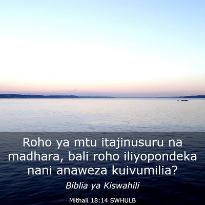 Picture 03 - Mithali 18:14 SWHULB - Roho ya mtu itajinusuru na madhara, bali roho - Bible Verse Picture