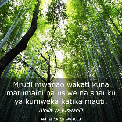 Picture 03 - Mithali 19:18 SWHULB - Mrudi mwanao wakati kuna matumaini na usiwe na - Bible Verse Picture