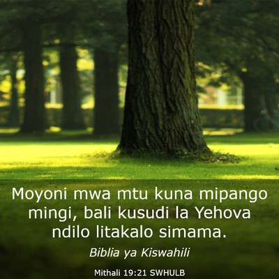 Picture 03 - Mithali 19:21 SWHULB - Moyoni mwa mtu kuna mipango mingi, bali kusudi la - Bible Verse Picture
