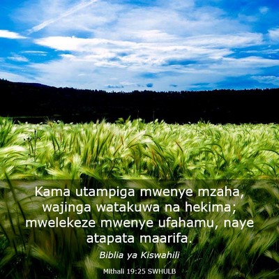Picture 03 - Mithali 19:25 SWHULB - Kama utampiga mwenye mzaha, wajinga watakuwa na - Bible Verse Picture