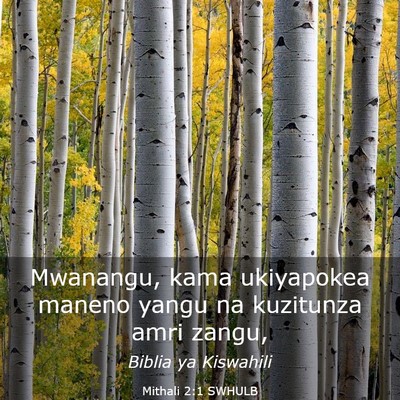 Picture 03 - Mithali 2:1 SWHULB - Mwanangu, kama ukiyapokea maneno yangu na - Bible Verse Picture