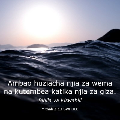 Picture 03 - Mithali 2:13 SWHULB - Ambao huziacha njia za wema na kutembea katika - Bible Verse Picture