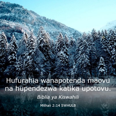 Picture 03 - Mithali 2:14 SWHULB - Hufurahia wanapotenda maovu na hupendezwa katika - Bible Verse Picture