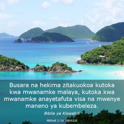 Picture 03 - Mithali 2:16 SWHULB - Busara na hekima zitakuokoa kutoka kwa mwanamke - Bible Verse Picture