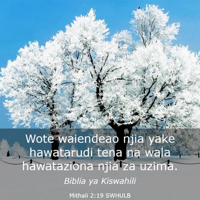 Picture 03 - Mithali 2:19 SWHULB - Wote waiendeao njia yake hawatarudi tena na wala - Bible Verse Picture