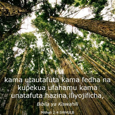 Picture 03 - Mithali 2:4 SWHULB - kama utautafuta kama fedha na kupekua ufahamu - Bible Verse Picture