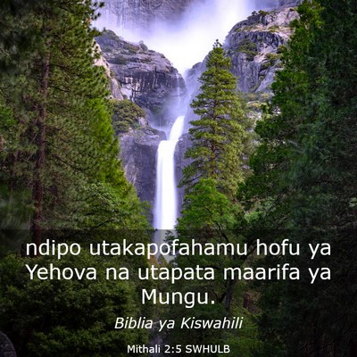 Picture 03 - Mithali 2:5 SWHULB - ndipo utakapofahamu hofu ya Yehova na utapata - Bible Verse Picture