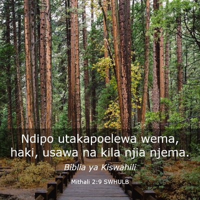 Picture 03 - Mithali 2:9 SWHULB - Ndipo utakapoelewa wema, haki, usawa na kila njia - Bible Verse Picture