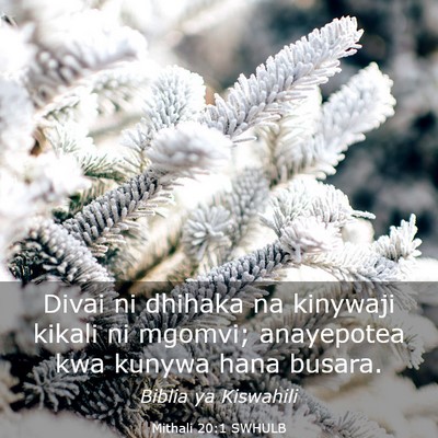 Picture 03 - Mithali 20:1 SWHULB - Divai ni dhihaka na kinywaji kikali ni mgomvi; - Bible Verse Picture