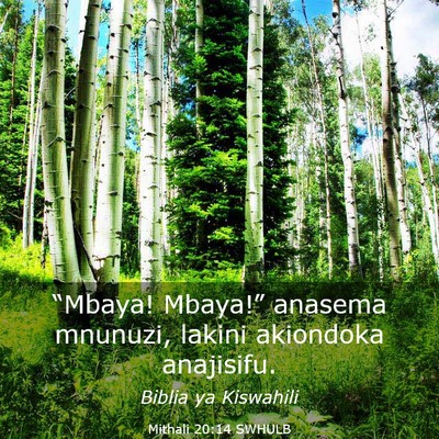 Picture 03 - Mithali 20:14 SWHULB - “Mbaya! Mbaya!” anasema mnunuzi, lakini - Bible Verse Picture