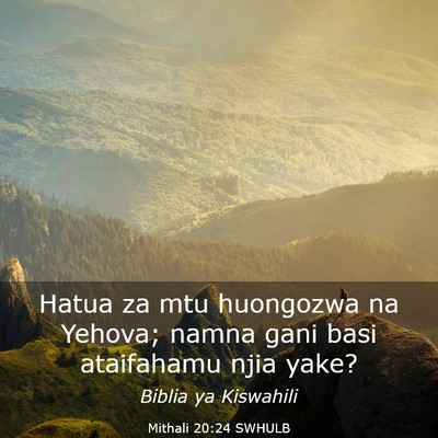 Picture 03 - Mithali 20:24 SWHULB - Hatua za mtu huongozwa na Yehova; namna gani basi - Bible Verse Picture