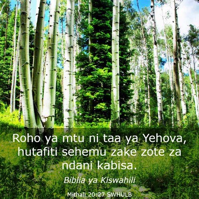 Picture 03 - Mithali 20:27 SWHULB - Roho ya mtu ni taa ya Yehova, hutafiti sehemu - Bible Verse Picture