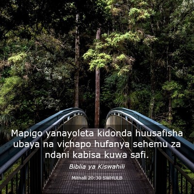 Picture 03 - Mithali 20:30 SWHULB - Mapigo yanayoleta kidonda huusafisha ubaya na - Bible Verse Picture