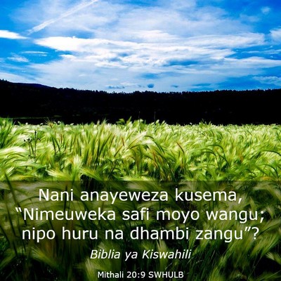 Picture 03 - Mithali 20:9 SWHULB - Nani anayeweza kusema, “Nimeuweka safi moyo - Bible Verse Picture