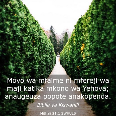 Picture 03 - Mithali 21:1 SWHULB - Moyo wa mfalme ni mfereji wa maji katika mkono wa - Bible Verse Picture