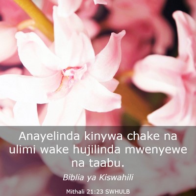 Picture 03 - Mithali 21:23 SWHULB - Anayelinda kinywa chake na ulimi wake hujilinda - Bible Verse Picture