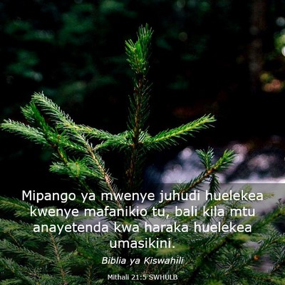 Picture 03 - Mithali 21:5 SWHULB - Mipango ya mwenye juhudi huelekea kwenye - Bible Verse Picture