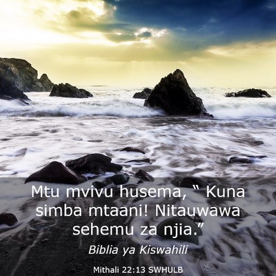 Picture 03 - Mithali 22:13 SWHULB - Mtu mvivu husema, “ Kuna simba mtaani! - Bible Verse Picture