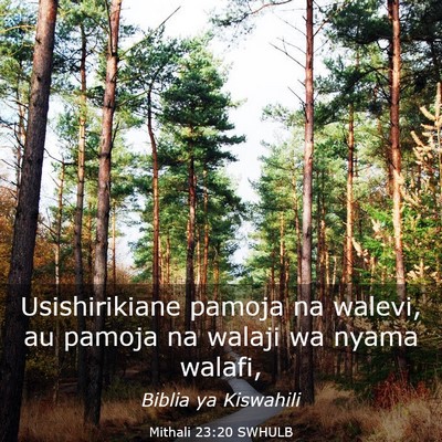 Picture 03 - Mithali 23:20 SWHULB - Usishirikiane pamoja na walevi, au pamoja na - Bible Verse Picture
