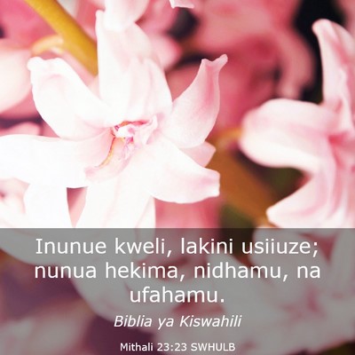 Picture 03 - Mithali 23:23 SWHULB - Inunue kweli, lakini usiiuze; nunua hekima, - Bible Verse Picture