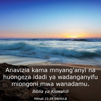 Picture 03 - Mithali 23:28 SWHULB - Anavizia kama mnyang'anyi na huongeza idadi ya - Bible Verse Picture