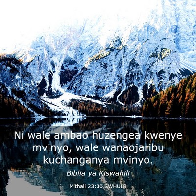 Picture 03 - Mithali 23:30 SWHULB - Ni wale ambao huzengea kwenye mvinyo, wale - Bible Verse Picture