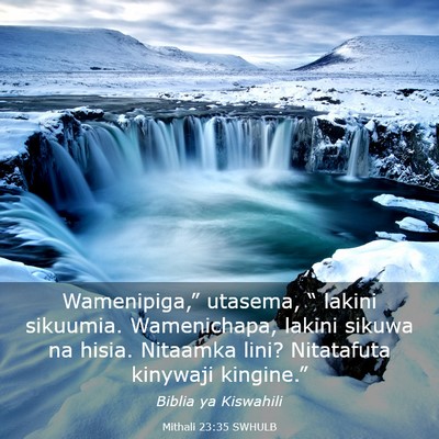 Picture 03 - Mithali 23:35 SWHULB - Wamenipiga,” utasema, “ lakini sikuumia. - Bible Verse Picture